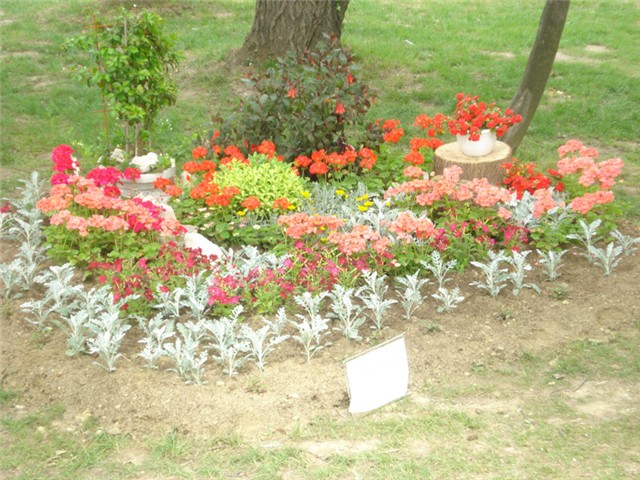 Flora Art Zagreb